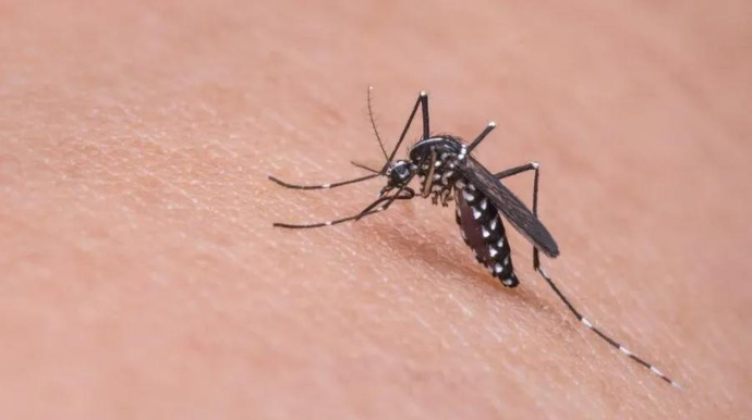 Tupã registra óbito suspeito por dengue