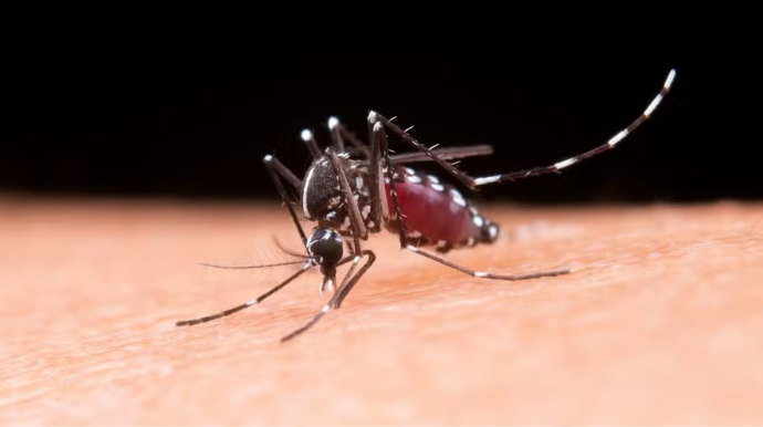 Tupã confirma 2º caso de Chikungunya